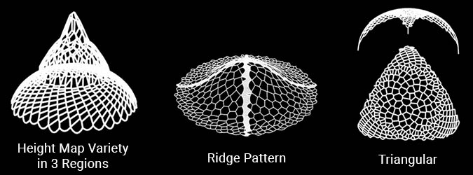 Showing how Voronoi diagrams were used to generate the patterns of radiolaria and diatoms.