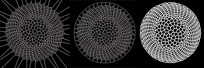 Showing how Voronoi diagrams were used to generate the patterns of radiolaria and diatoms.
